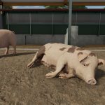 Farming Simulator 22 Farm Animals & Wildlife