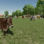 COW BARN SMALL V1.0