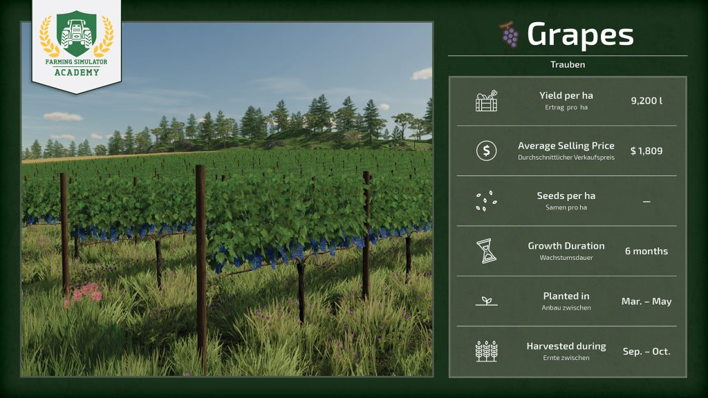 Farming Simulator 22 How to Sow & Harvest Grapes