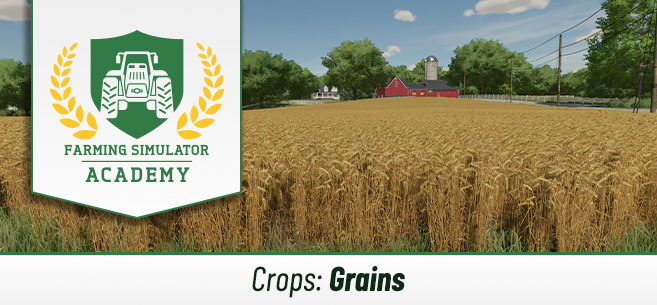 Farming Simulator 22 Sow & Harvest Grains