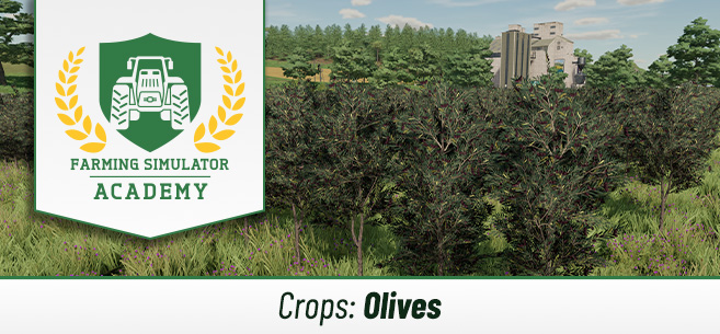 Farming Simulator 22 How to Sow & Harvest Olives