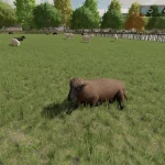 SHEEPBARNXXL V1.0