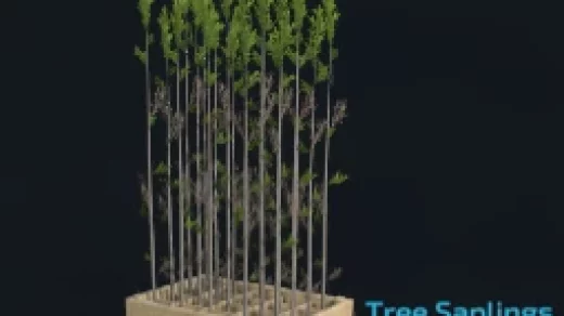 TREE SAPLING PALLET (100 PIECES) V1.0