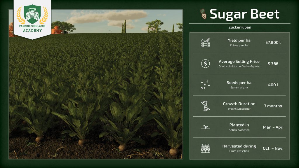 Farming Simulator 22 How to Sow & Harvest Sugar Beet 