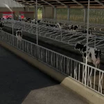 COWSHED 3+0 V1.0