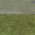 LIMIT KREDYTOWY ( LOAN LIMIT, KREDIT LIMIT ) V1.0