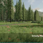 GRIZZLY MOUNTAIN V1.0