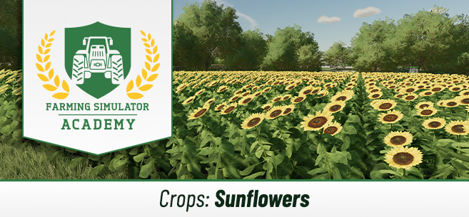 Farming Simulator 22: How to Sow & Harvest Sunflowers