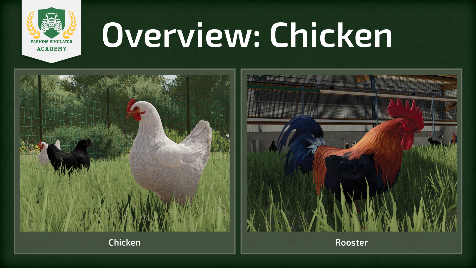 farming simulator 22 chickens