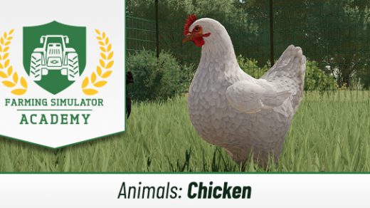 Farming Simulator 22: Chickens - How to breed and care for them