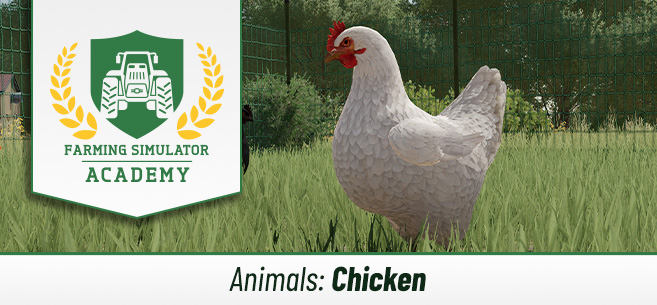 Farming Simulator 22: Chickens - How to breed and care for them 