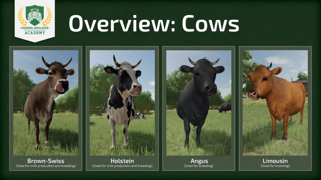 Farming Simulator 22: Cows - How to breed and care for cattle 
