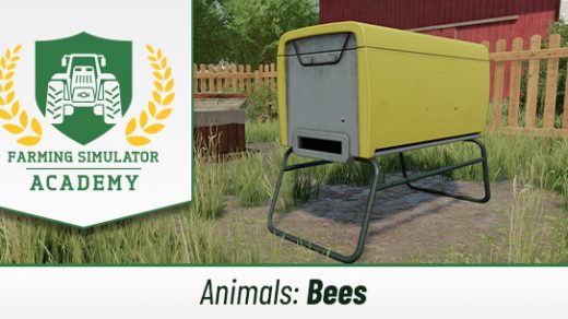 Farming Simulator 22: How to keep bees