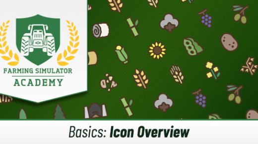 Icon Overview