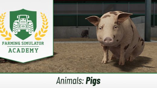 Farming Simulator 22: How to breed and care for pigs