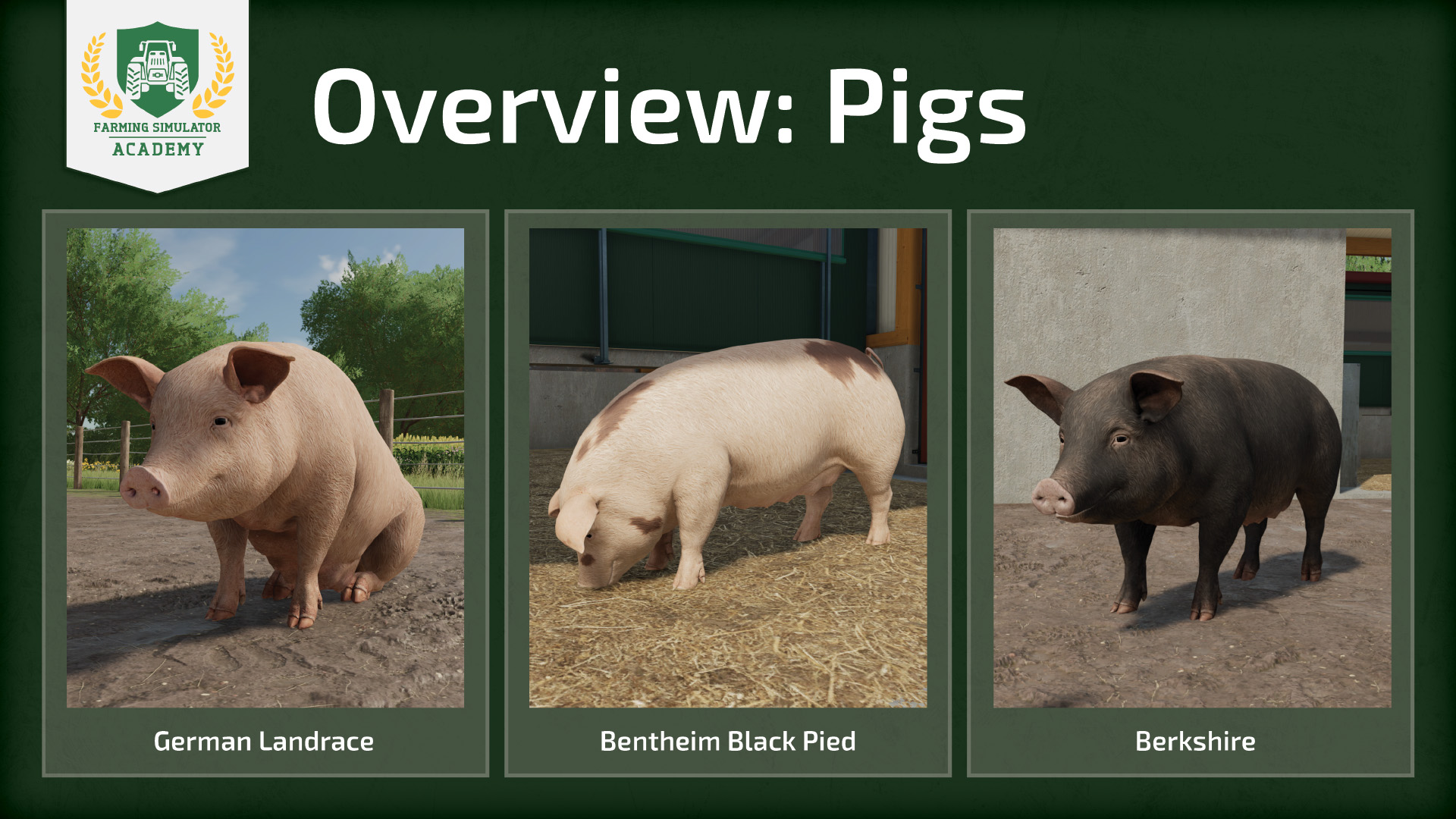 Farming Simulator 22 How To Breed And Care For Pigs Fs22 Mod