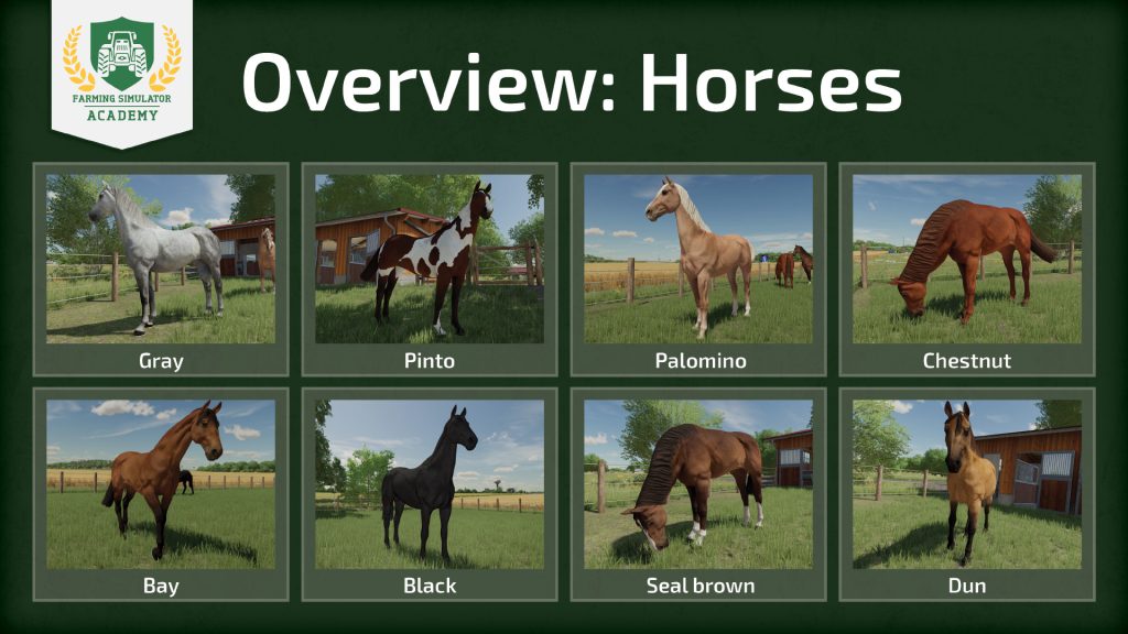 Farming Simulator 22: How to breed and tend to horses 