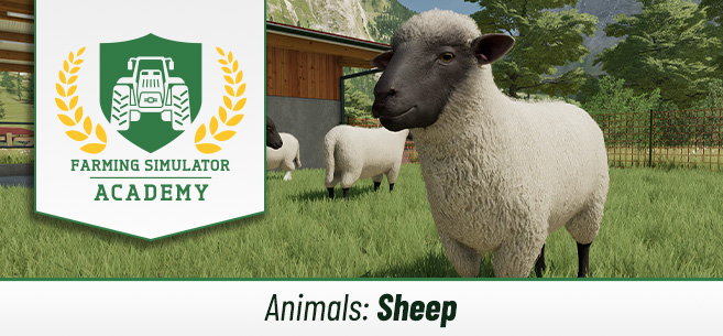 Farming Simulator 22: How to breed sheep
