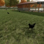 EXTRA LARGE CHICKEN COOP FOR 10000 ANIMALS V1.0