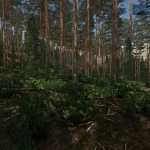 Swedish small forest farm V1.0