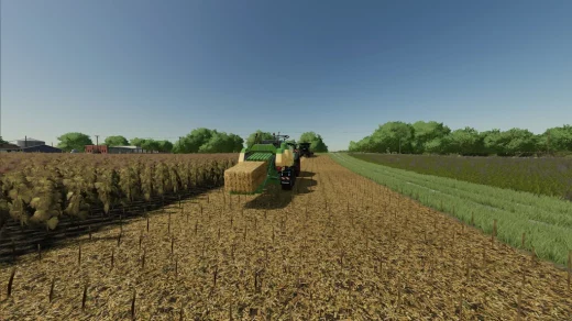 EXTENDED STRAW CROPS V1.0