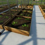 VEGETABLE GREENHOUSES MELONS, WATERMELONS V1.0
