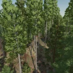 SILVER RUN SAVE GAME (MORE TREES ADDED) V1.0