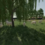 SHEEP BARN V1.0