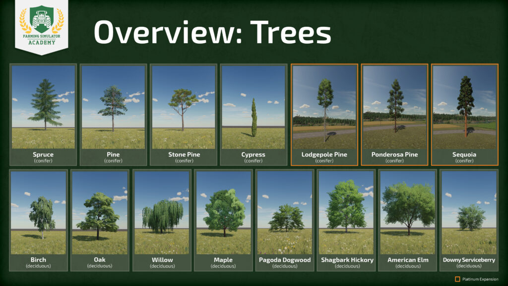 Farming Simulator 22: Introduction to Forestry & Tree Species 