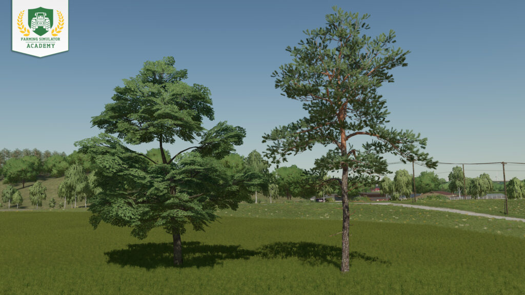 Farming Simulator 22: Introduction to Forestry & Tree Species 