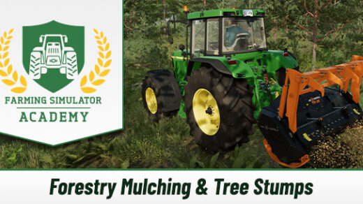 Farming Simulator 22: Forestry Mulching & Tree Stumps