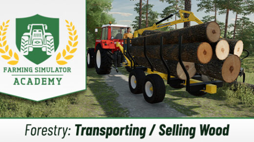 Farming Simulator 22: Transporting & Selling Wood via Trailer or Container