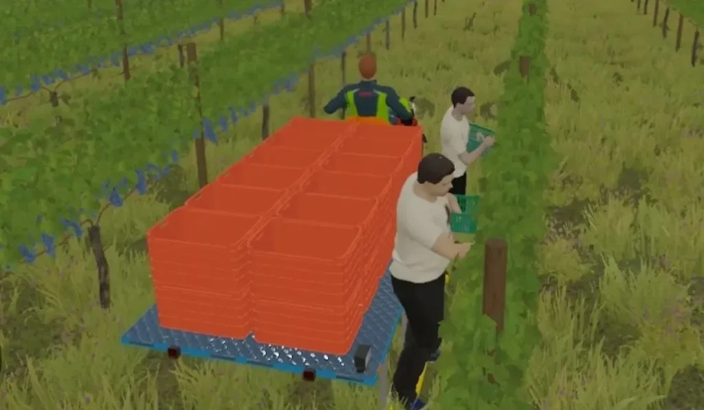 GRAPE HARVEST WITH WORKERS V1.1