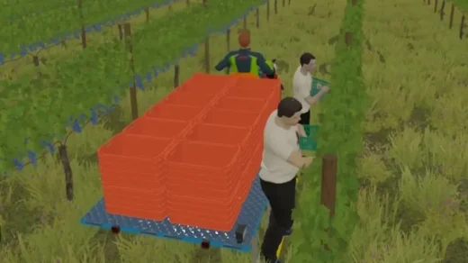 GRAPE HARVEST WITH WORKERS V1.1