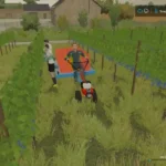 GRAPE HARVEST WITH WORKERS V1.14