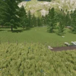 LARGE OUTDOOR SHEEP PASTURE V1.02