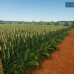 SANTA AMELIA FARM V1.1.3