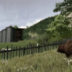 DECORATIVE PLACEABLE GRIZZLY BEARS PACK V1.02