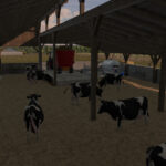 Cow Barn3