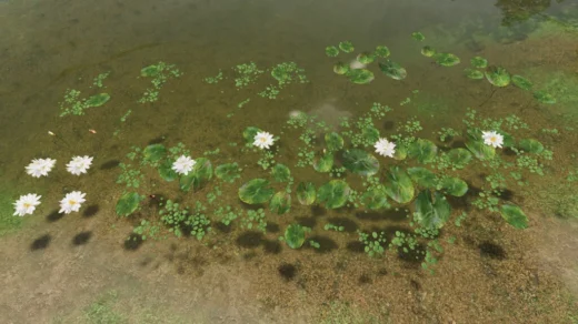 WATER LILIES MIX V1.0