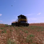 NEW CORN TEXTURE WITH MORE REAL EFFECTS V1.02
