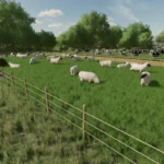 TEMPORARY GRAZING PASTURES V1.0