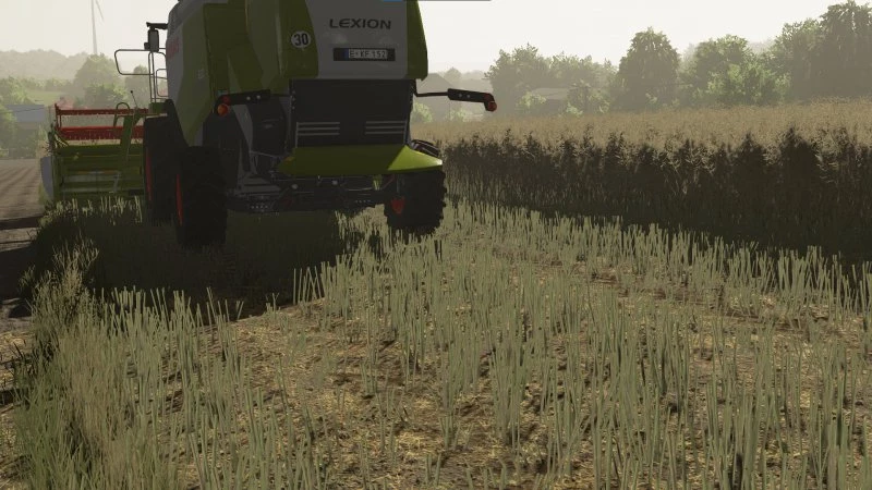 TEXTURES OF CANOLA 2 V1.0 – FS22 mod