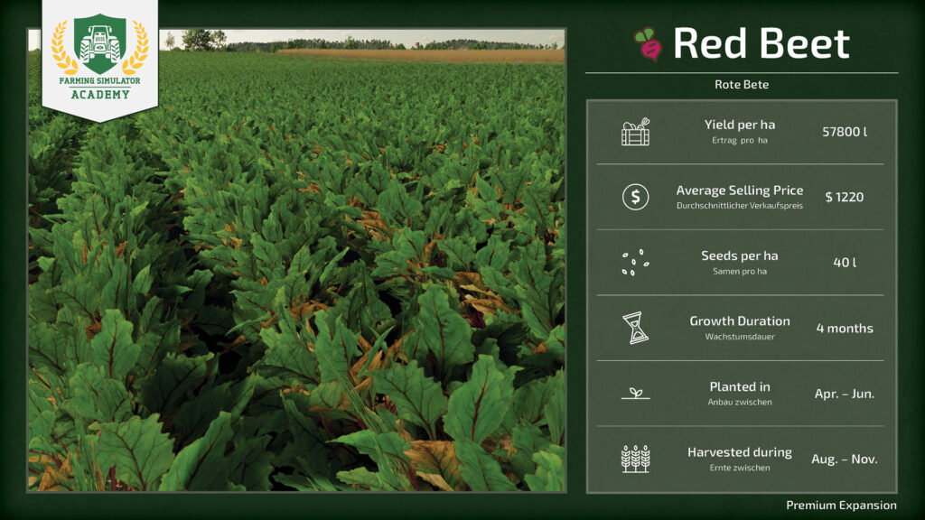Farming Simulator 22 Premium Expansion Preview: Red Beet