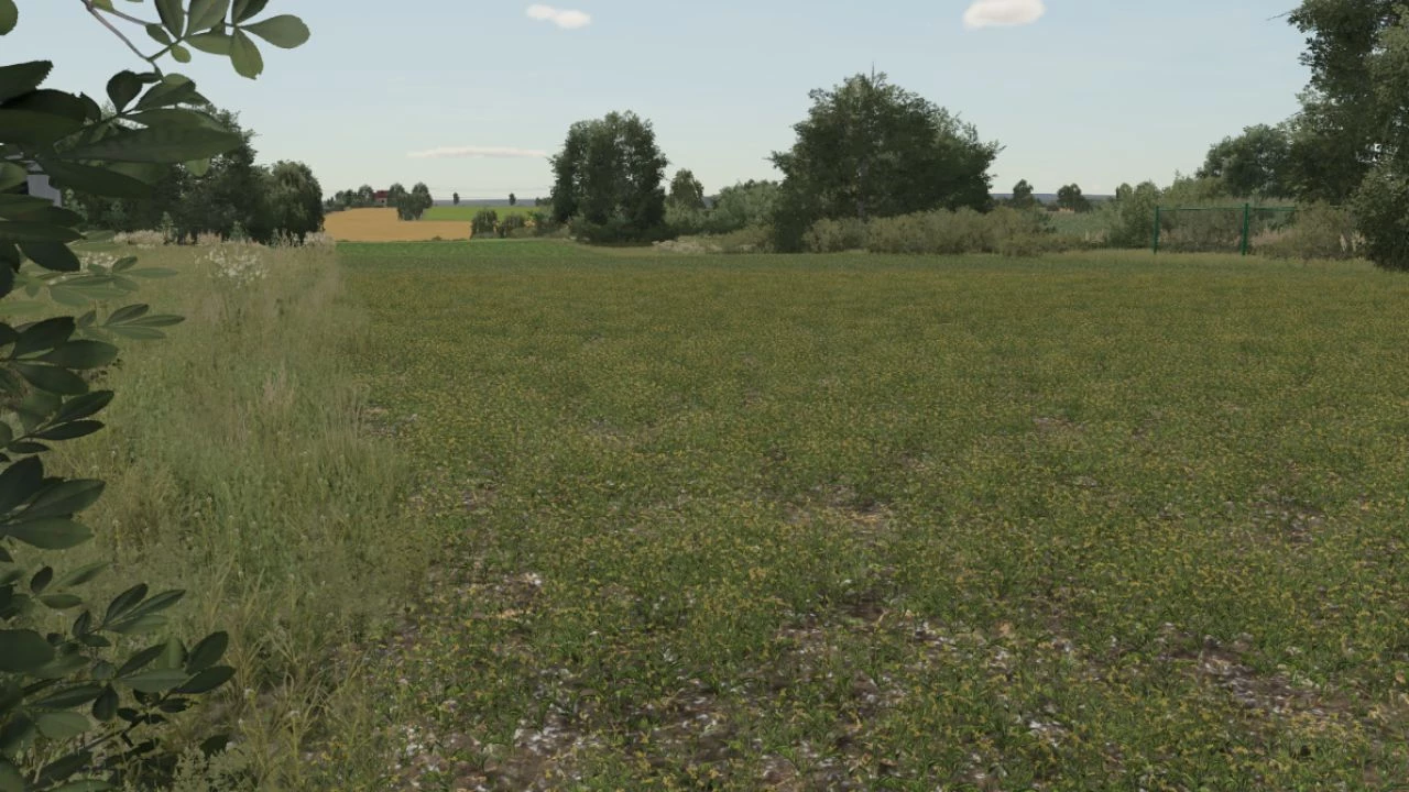 OIL SEED RADISH TEXTURE V1.0 – FS22 mod