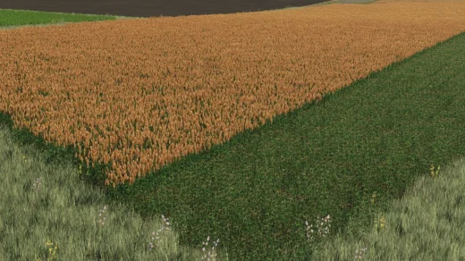 NEW SORGHUM TEXTURE READY FOR HARVEST V1.0