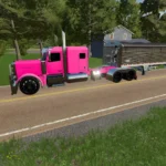 PETERBILT 589 V1.0