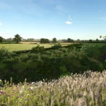THE NORTHERN FARMS V1.04