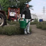 WATERING CANS PACK V1.03