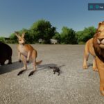 Animals3